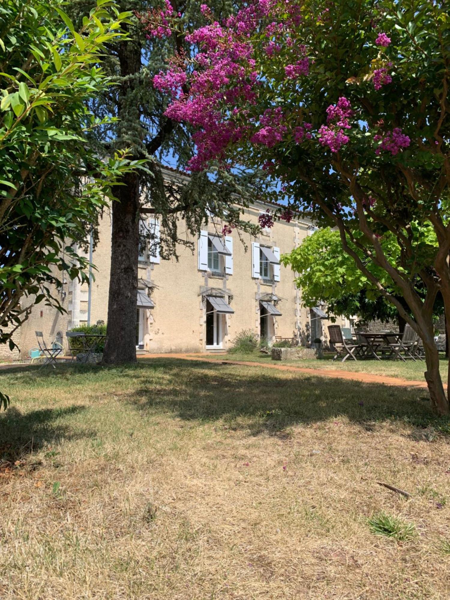 The Cool Lounge A Coulonges - Charente Bed & Breakfast エクステリア 写真