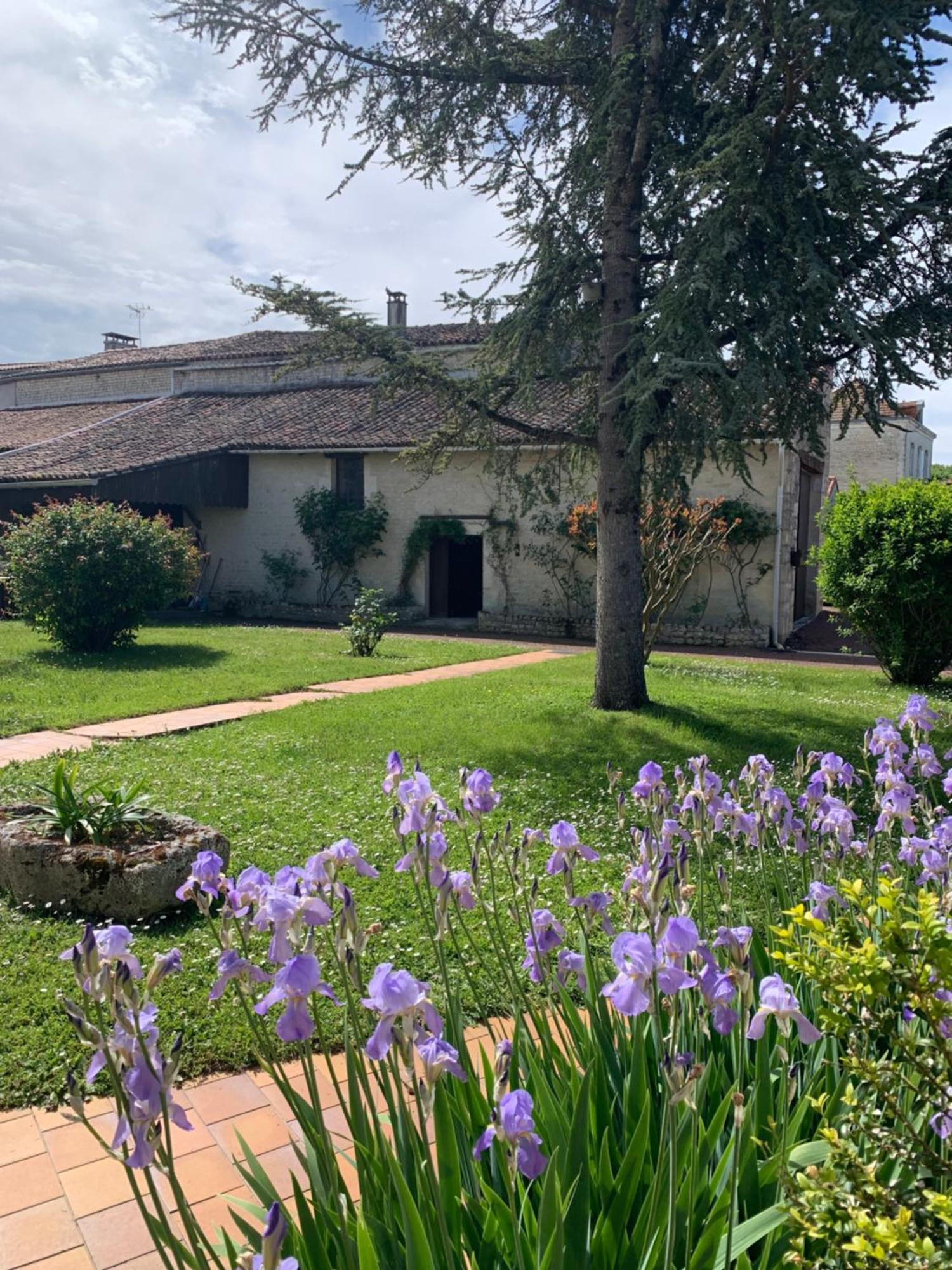 The Cool Lounge A Coulonges - Charente Bed & Breakfast エクステリア 写真