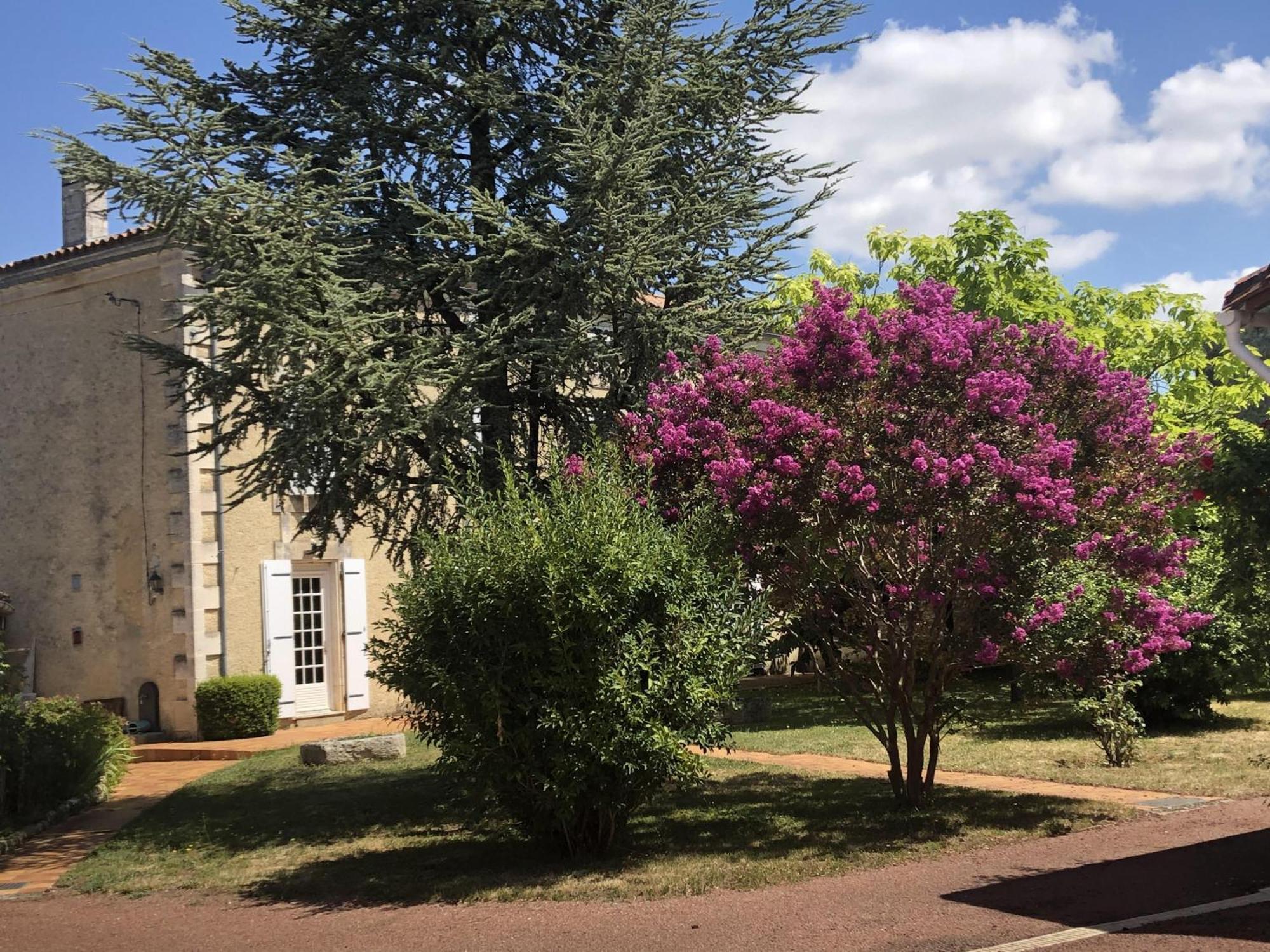 The Cool Lounge A Coulonges - Charente Bed & Breakfast エクステリア 写真
